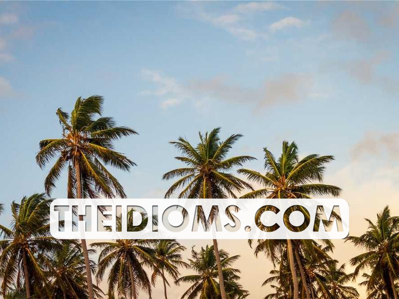 carry-on-meaning-origin-example-sentence-history