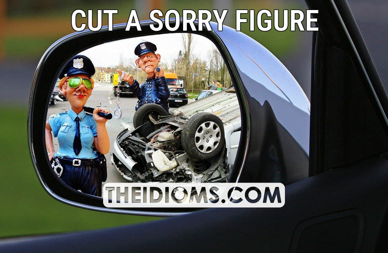 Cut A Sorry Figure Meaning Origin Example Sentence Etymology