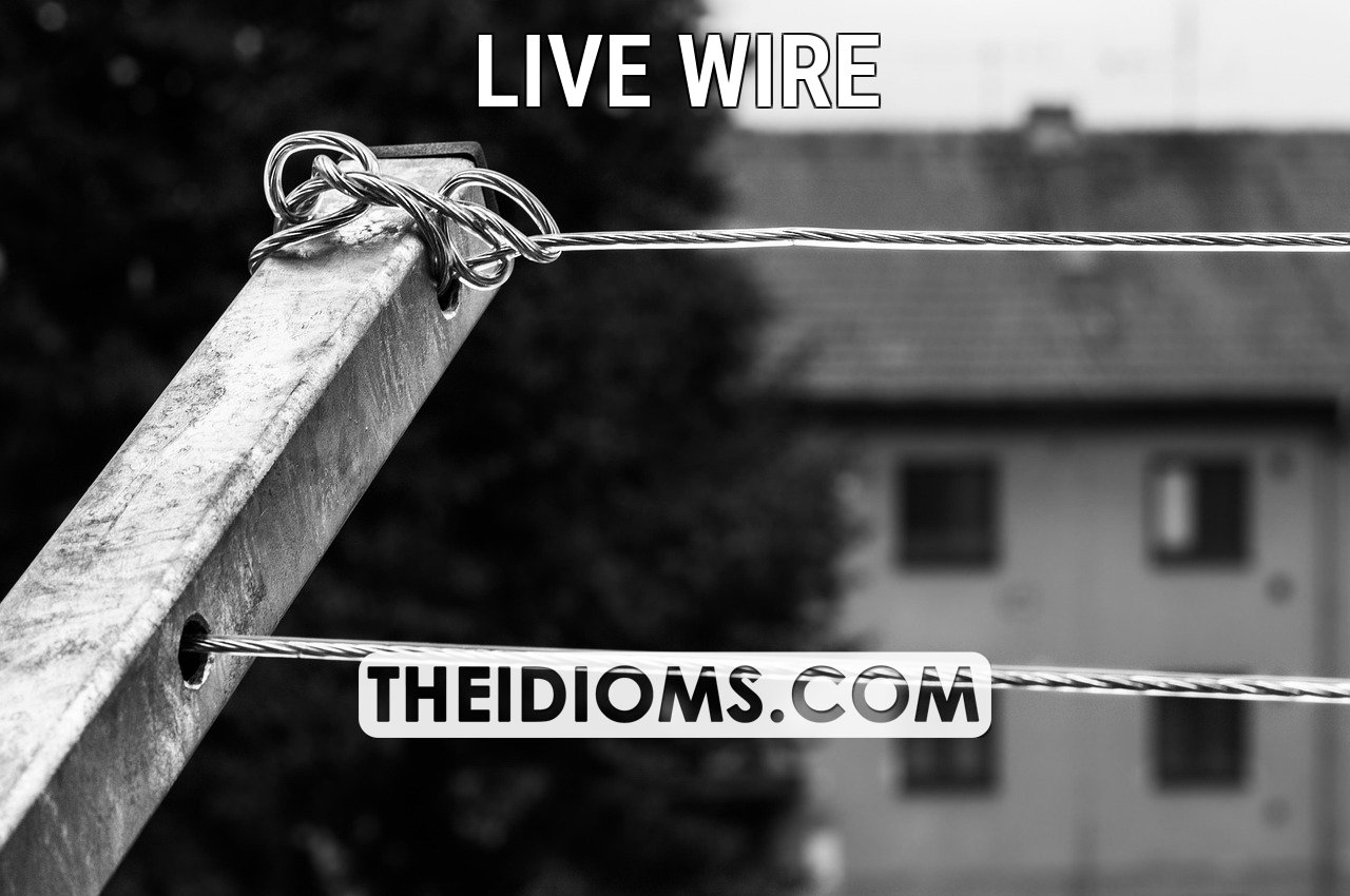 live wire meaning, origin, example, sentence, etymology