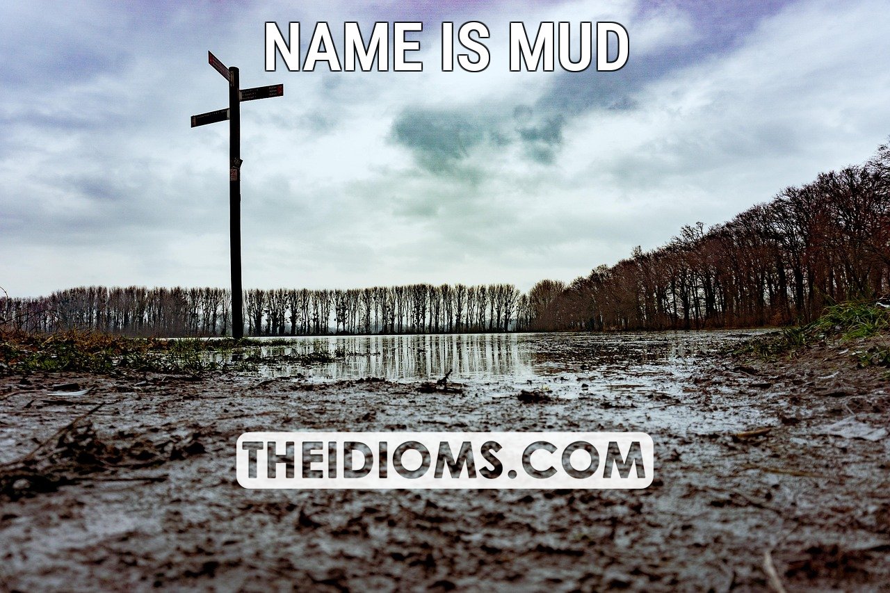 name is mud meaning, origin, example, sentence, etymology