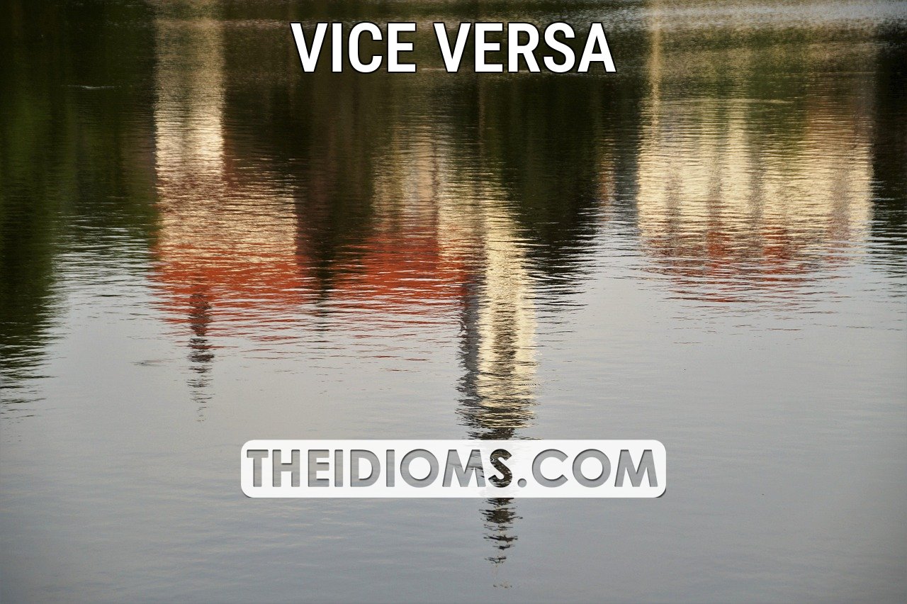 vice versa meaning, origin, example, sentence, etymology